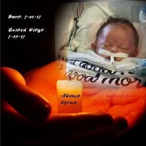 Meet your Posher, Shelby